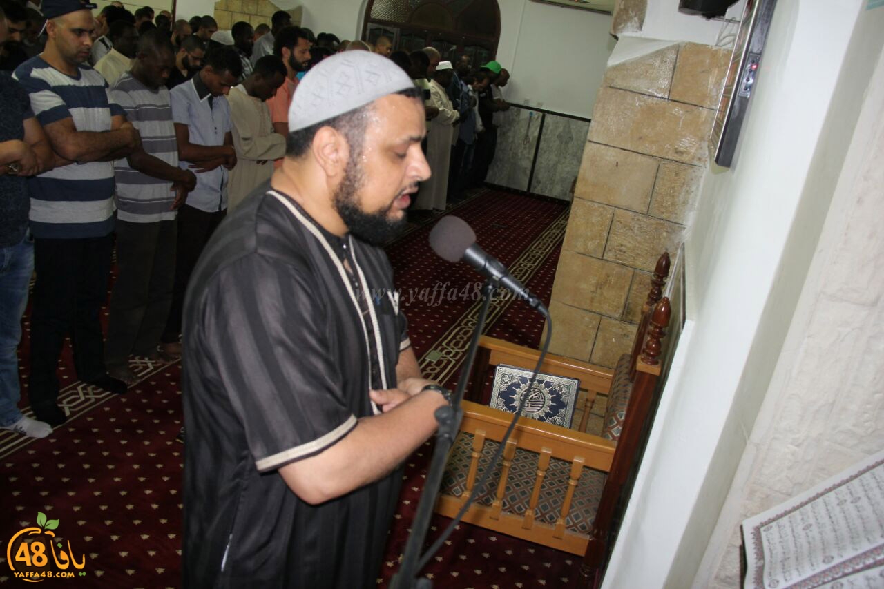 trawe7 salahsaj (26).jpg